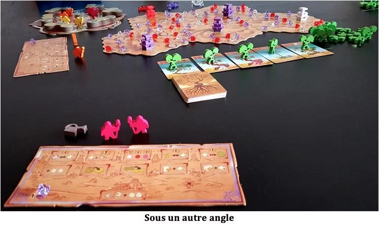 Test de Ishtar : Les jardins de Babylone de Bruno Cathala et Evan Singh chez Iello