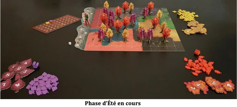 Test de Bosk de Daryl Andrews et Erica Bouyouris chez Matagot