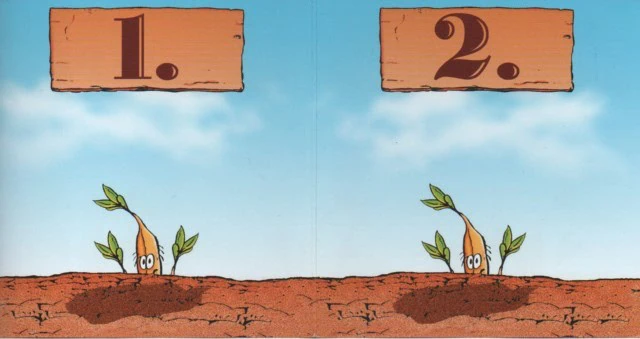 Test de Bohnanza chez Gigamic