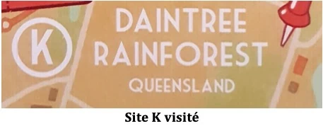 Test de Boomerang Australia de Scott Almes chez Matagot