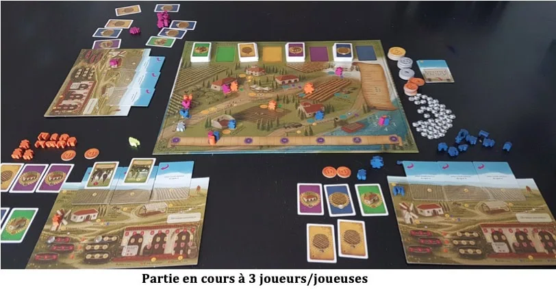 Test de Viticulture l’Edition Essentielle de Jamey Stegmaier, Alan Stone et Morten Monrad Pedersen chez Matagot.