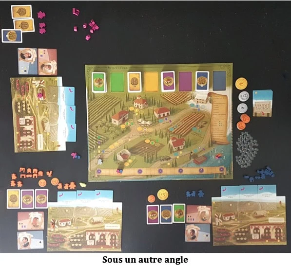 Test de Viticulture l’Edition Essentielle de Jamey Stegmaier, Alan Stone et Morten Monrad Pedersen chez Matagot.