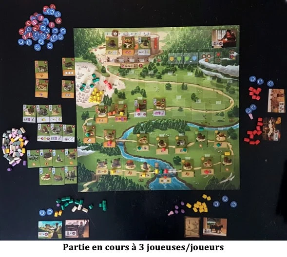 Test de Caylus 1303
