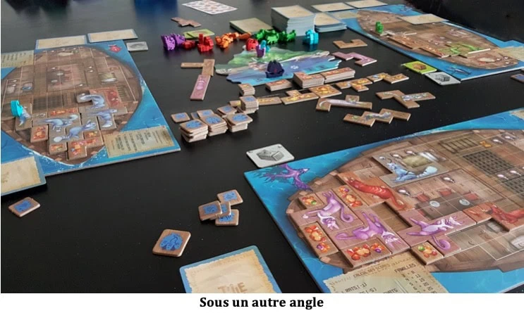 Test de L’Île des Chats