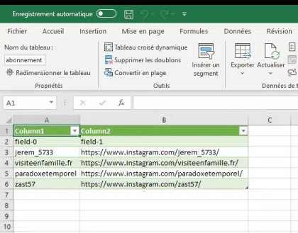 fichier excel abonnement instagram