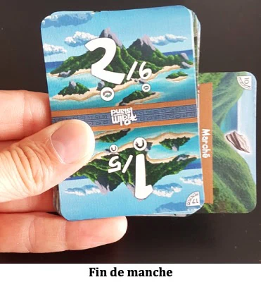 Test de Palm Island