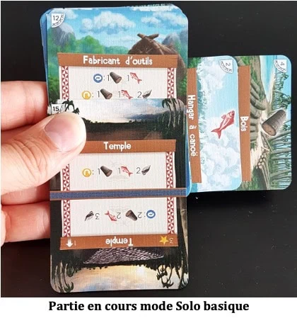 Test de Palm Island