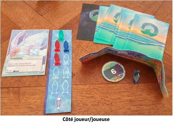 Test d'Oceans