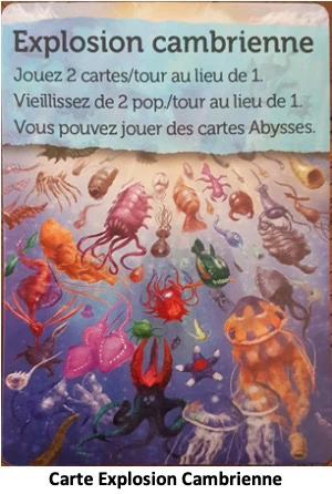 Test d'Oceans