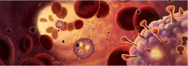 Test de Pandemic Zone Rouge Amérique du Nord