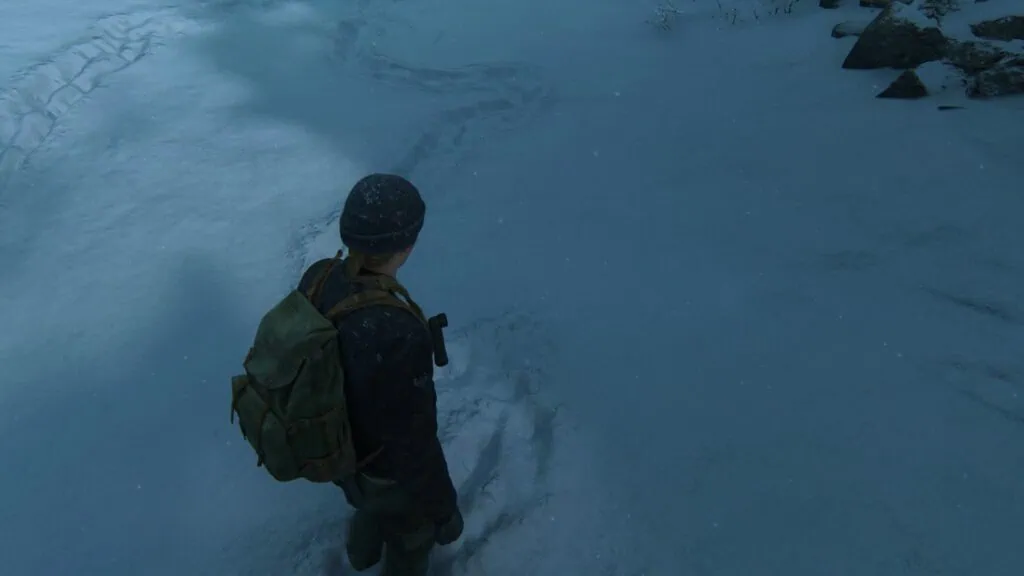 Trace de pas de Ellie dans la neige