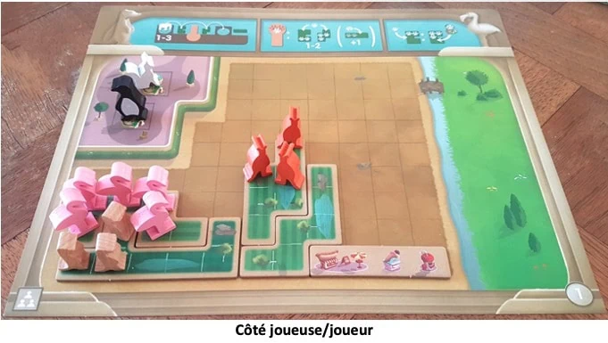 Test de New Yok Zoo