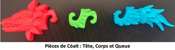 Test de Cóalt de Pascale Brassard et Étienne Dubois-Roy