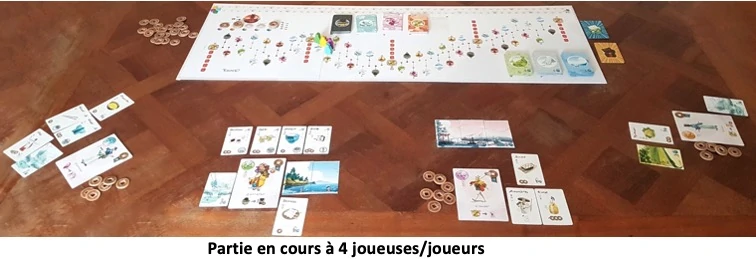 Test de Tokaido