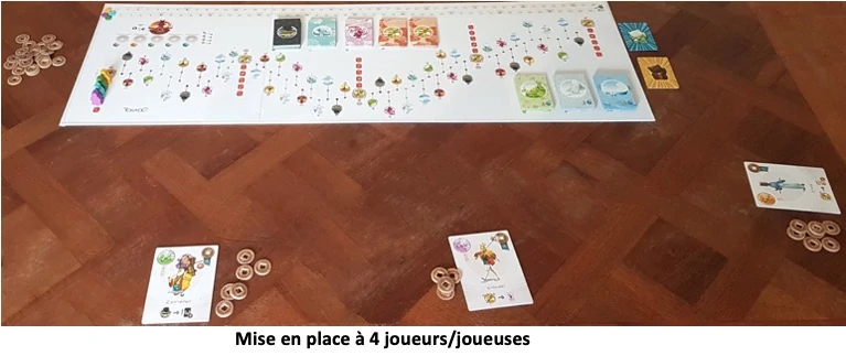 Test de Tokaido