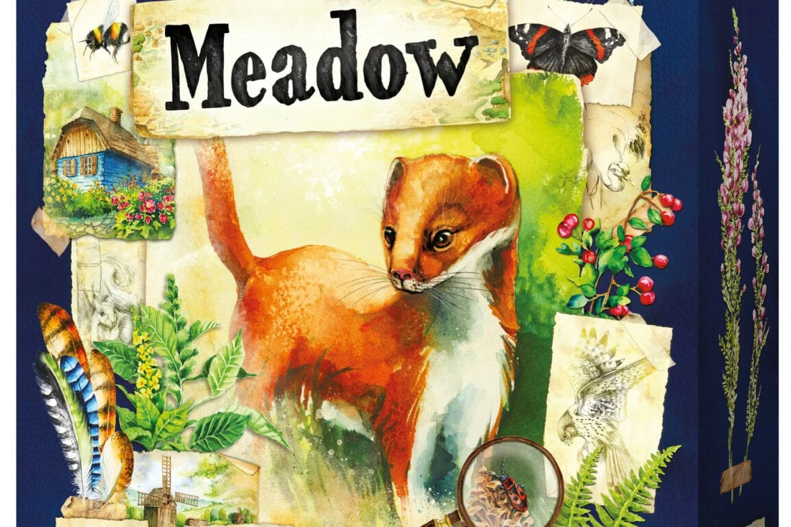 Meadow jeu