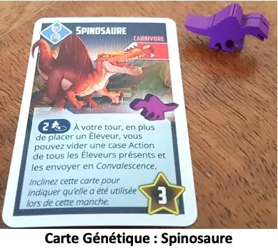 Test et avis de Tiny Epic Dinosaurs