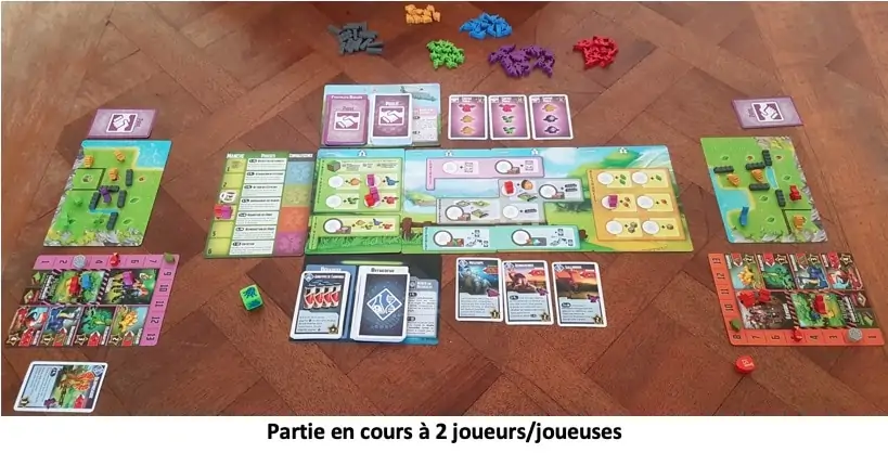 Test et avis de Tiny Epic Dinosaurs