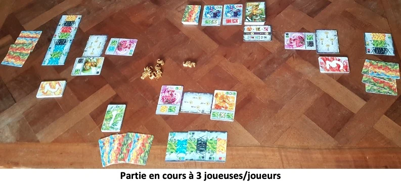 Test et avis de Cóatl le jeu de cartes