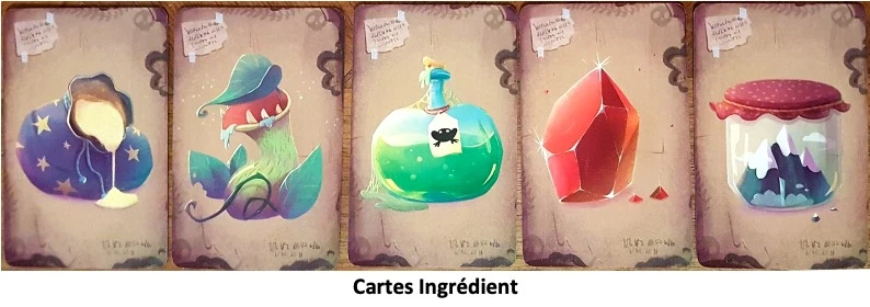 Test et avis de La Cabane à Potions