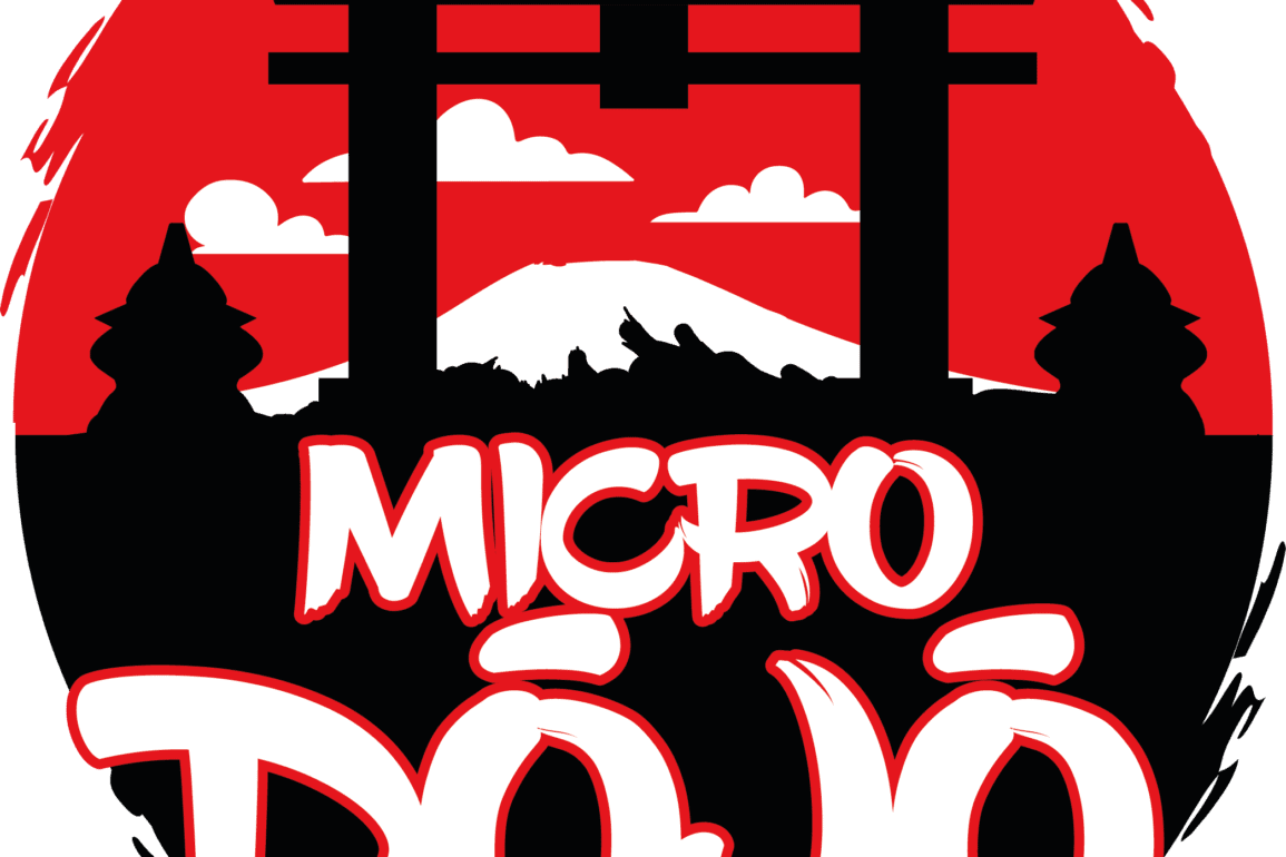 Test de Micro Dojo chez Don't Panic Games