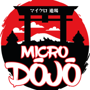 Test de Micro Dojo chez Don't Panic Games