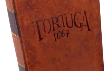 Tortuga 1667 jeu