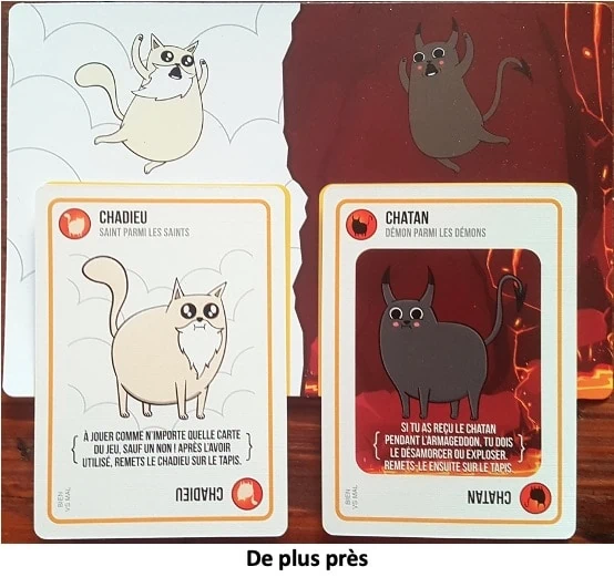 Test et avis d'Exploding Kittens Bien Vs Mal