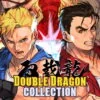 Double Dragon Collection: retour en force sur Switch