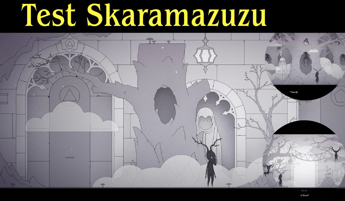 Test video de Skaramazuzu