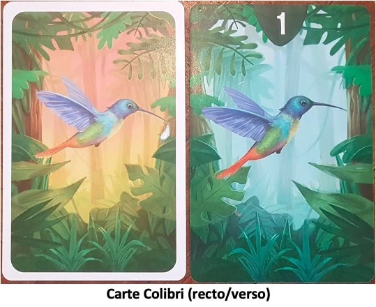 Test et avis de La Légende Du Colibri