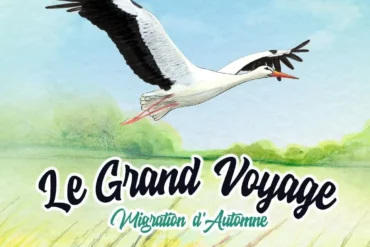 Test et avis du Grand Voyage, migration d'automne chez Ludistri