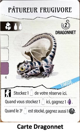 Test et avis de Wyrmspan