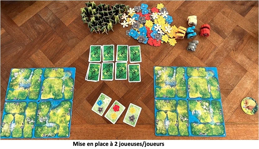 Test et avis de Hutan la vie dans la forêt tropicale