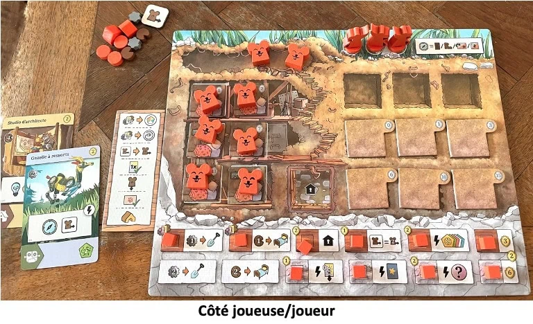 Test et avis Les Rats de Wistar