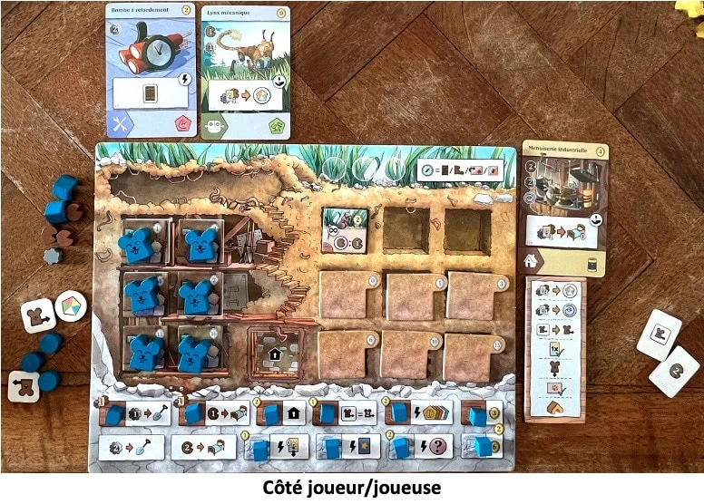 Test et avis Les Rats de Wistar