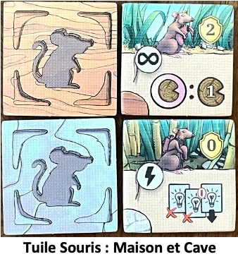 Test et avis Les Rats de Wistar