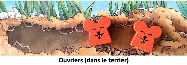 Test et avis Les Rats de Wistar