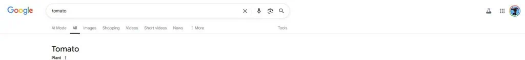 AI mode Google Search
