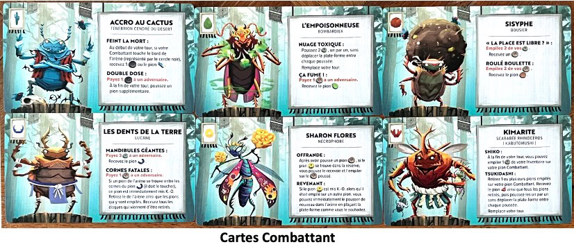 Test et avis de Kabuto Sumo