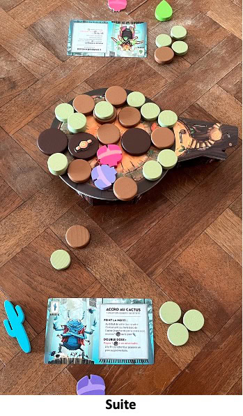 Test et avis de Kabuto Sumo