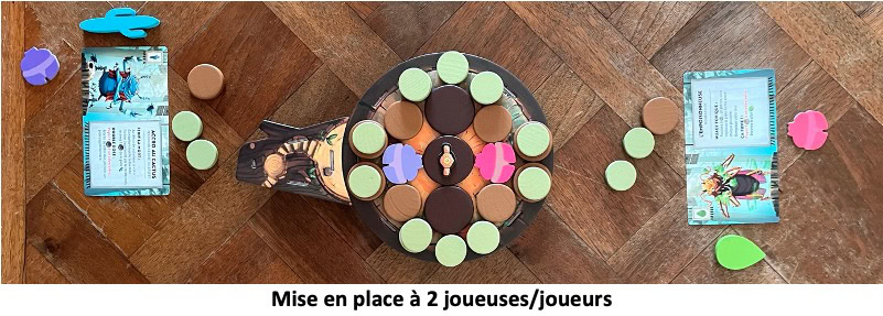 Test et avis de Kabuto Sumo