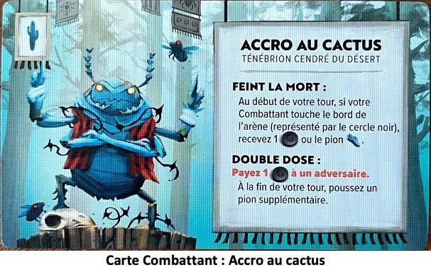 Test et avis de Kabuto Sumo