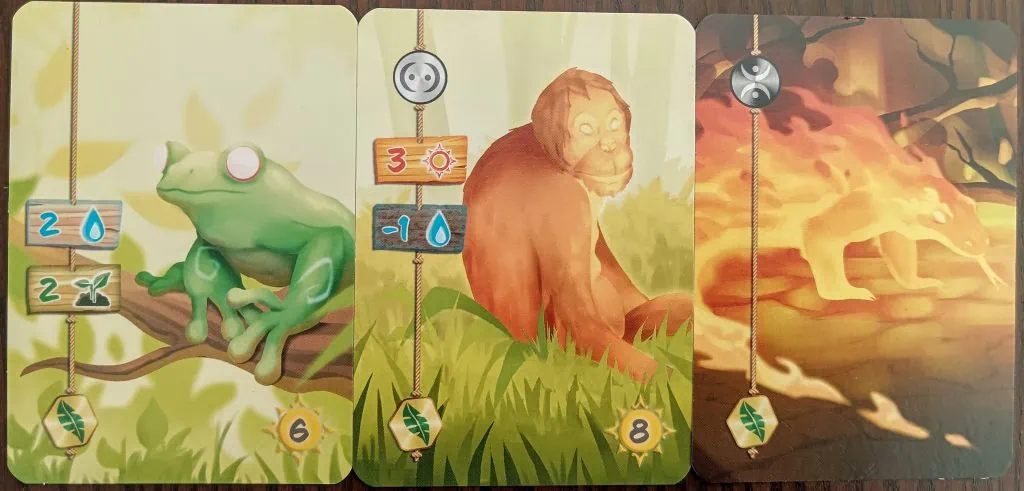 Test et avis de Living Forest Duel chez Ludonaute