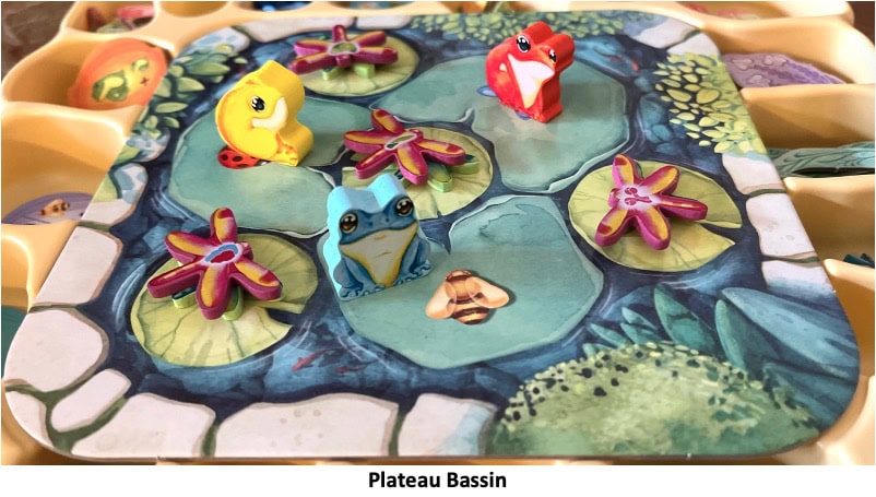 Test et avis de Pergola