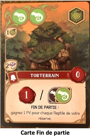 Test et avis de Wondrous Creatures