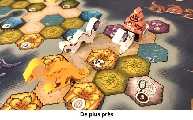 Test et avis de Wondrous Creatures