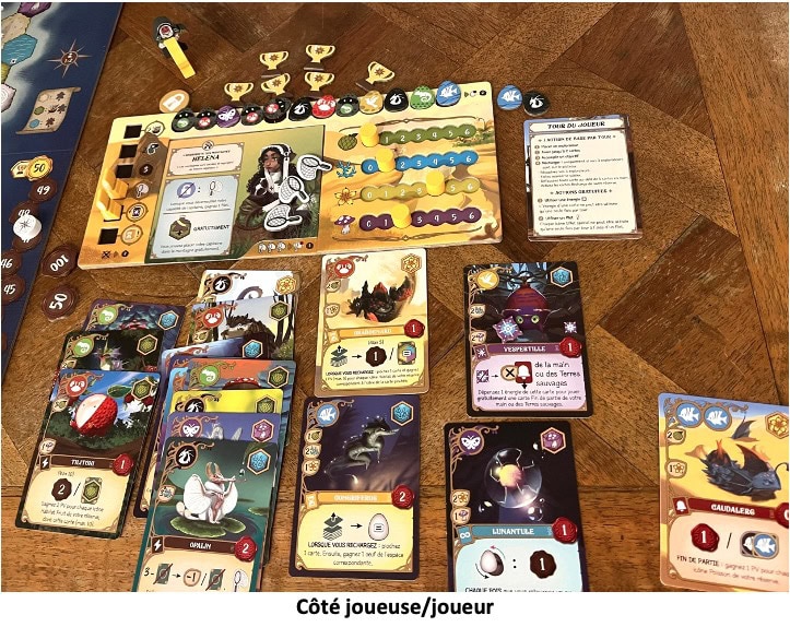 Test et avis de Wondrous Creatures