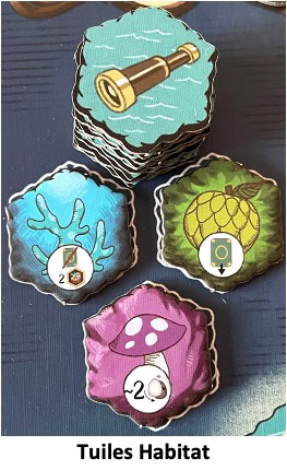 Test et avis de Wondrous Creatures