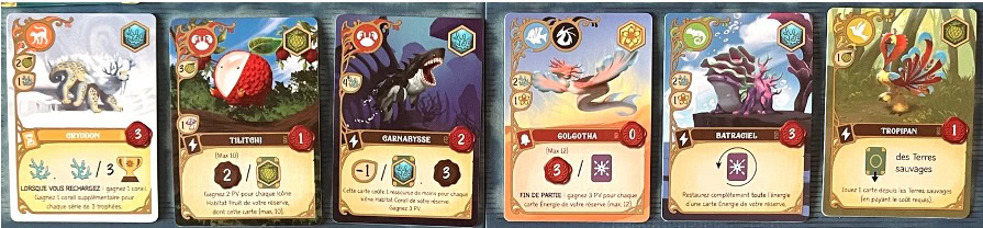 Test et avis de Wondrous Creatures